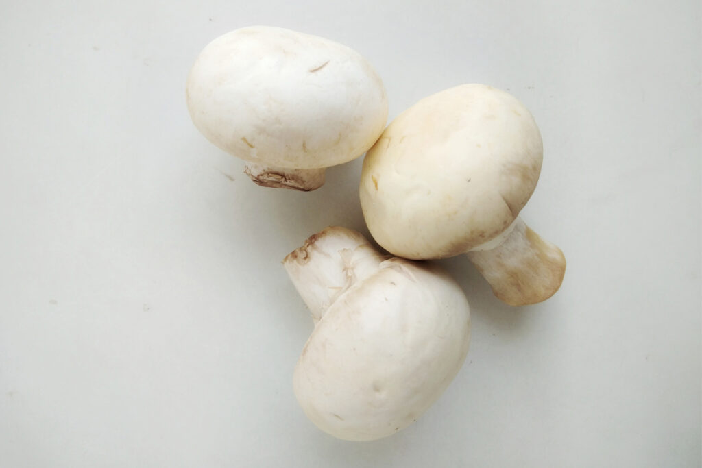 Witte paddenstoelen