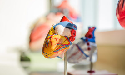 Hart (medish model)